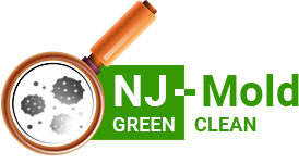 NJ Mold